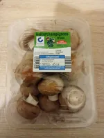 Kulturchampignons braun