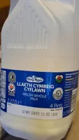 Whole milk