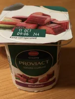 Rhubarb yogurt