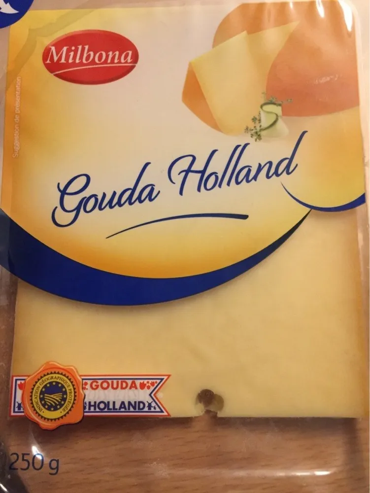 Gouda holland