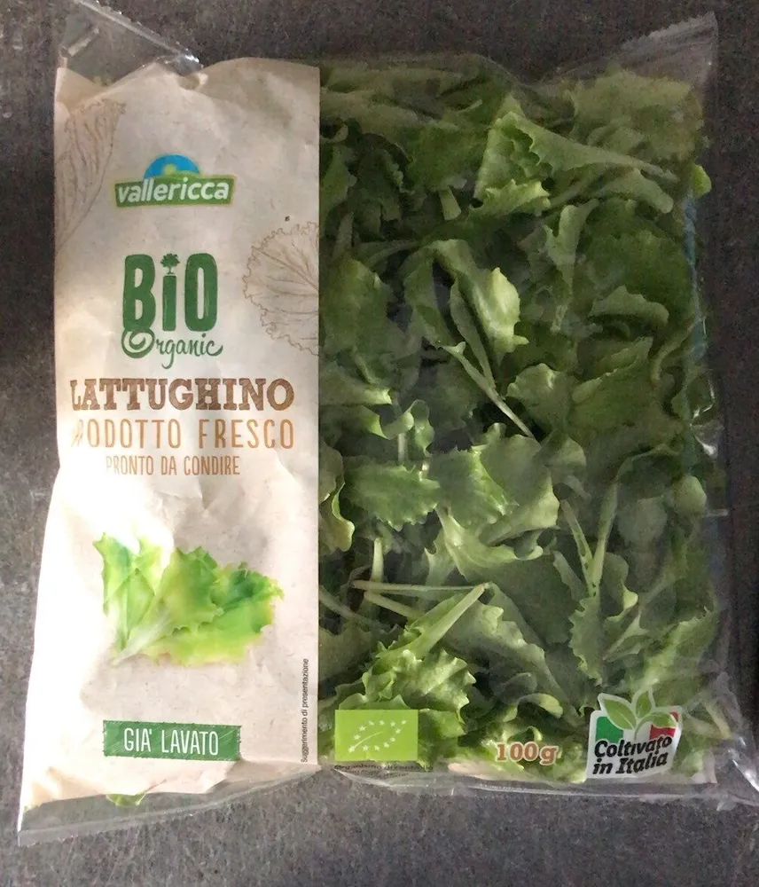Insalta Lattughino bio