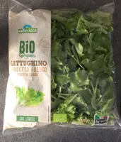 Insalta Lattughino bio
