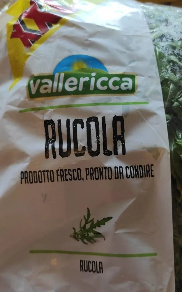 Rucola