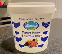 Yogurt intero ai frutti di bosco