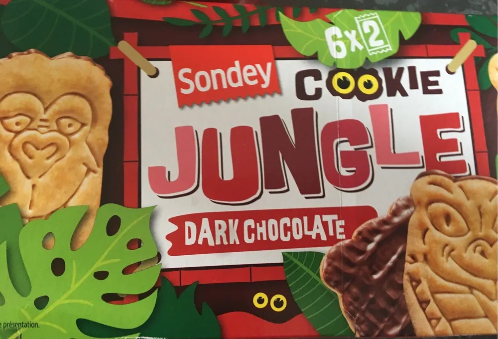 Biscuits aux céréales au chocolat