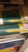 Spaghetti Pasta