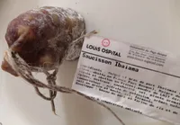 Saucisson sec ibaiama ospital