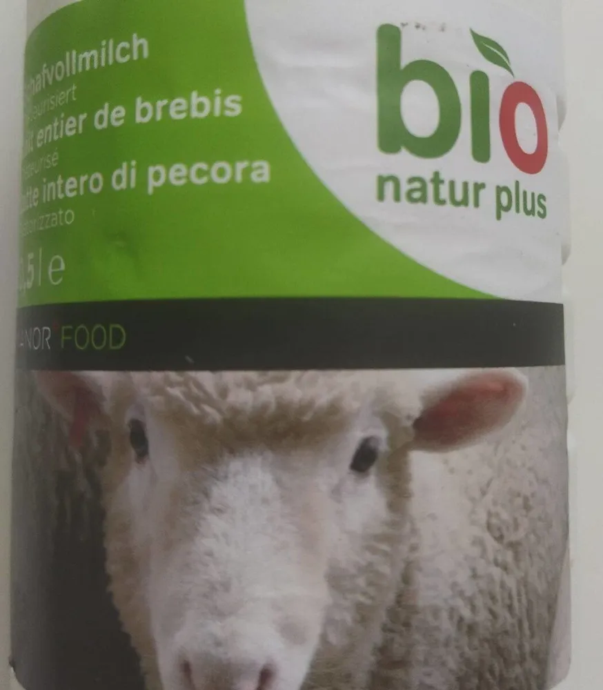 Latte intero di pecora