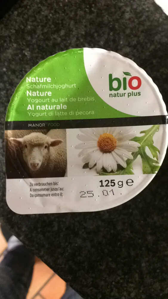 Yogourt au lait de brebis - Nature