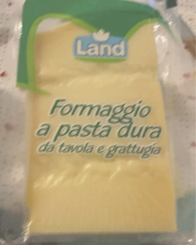 formaggio a pasta dura