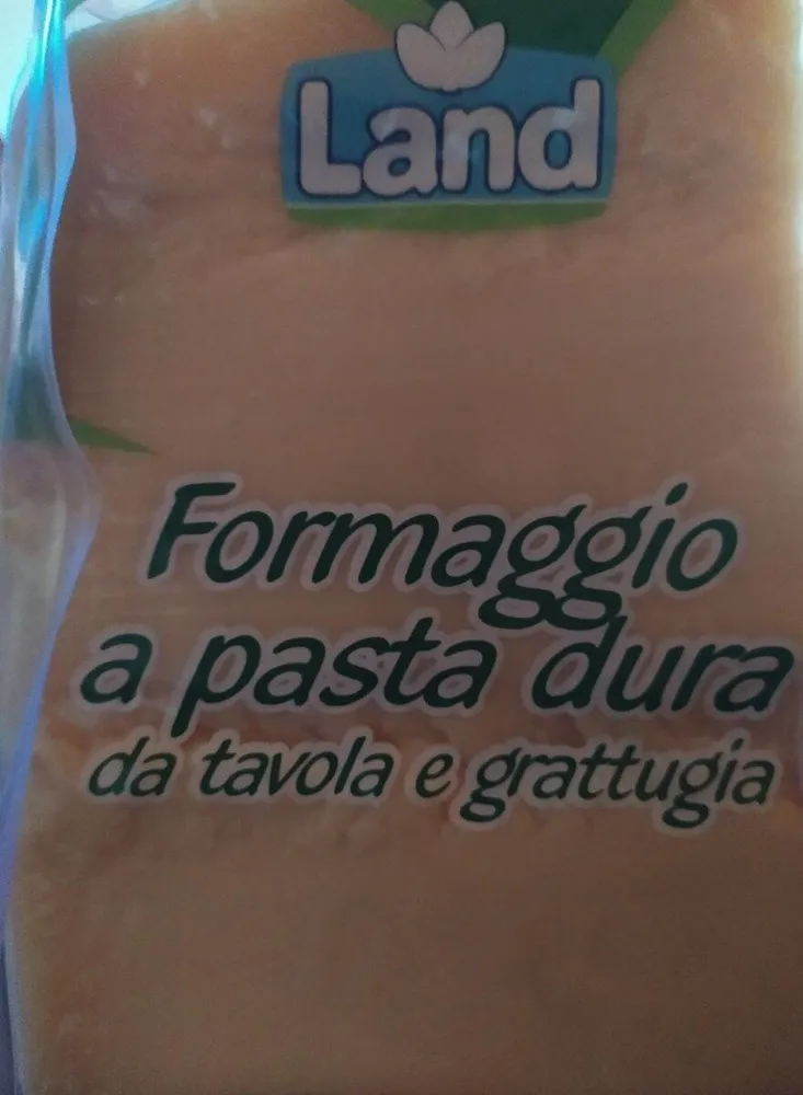 Formaggio a pasta dura