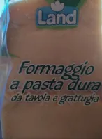 Formaggio a pasta dura
