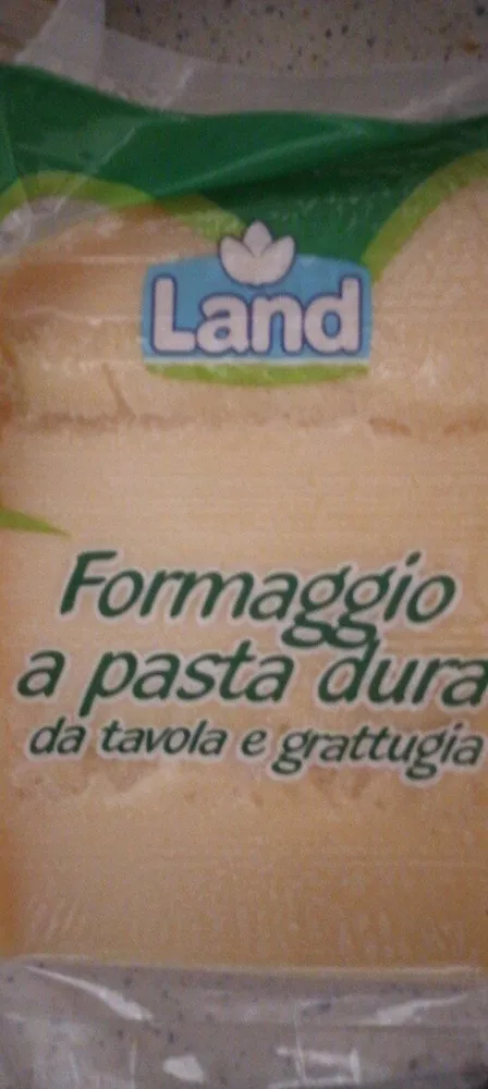 Formaggio a pasta dura