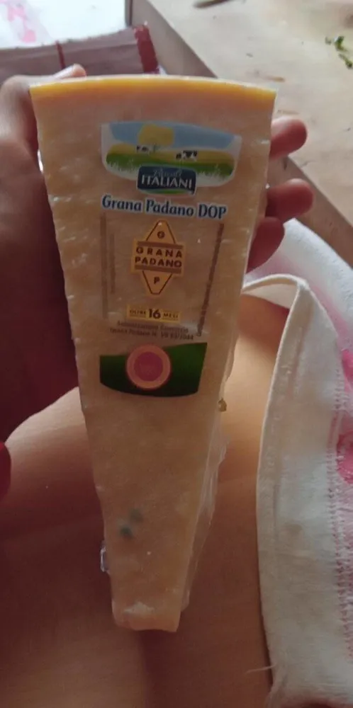 Formaggio grana padano DOP