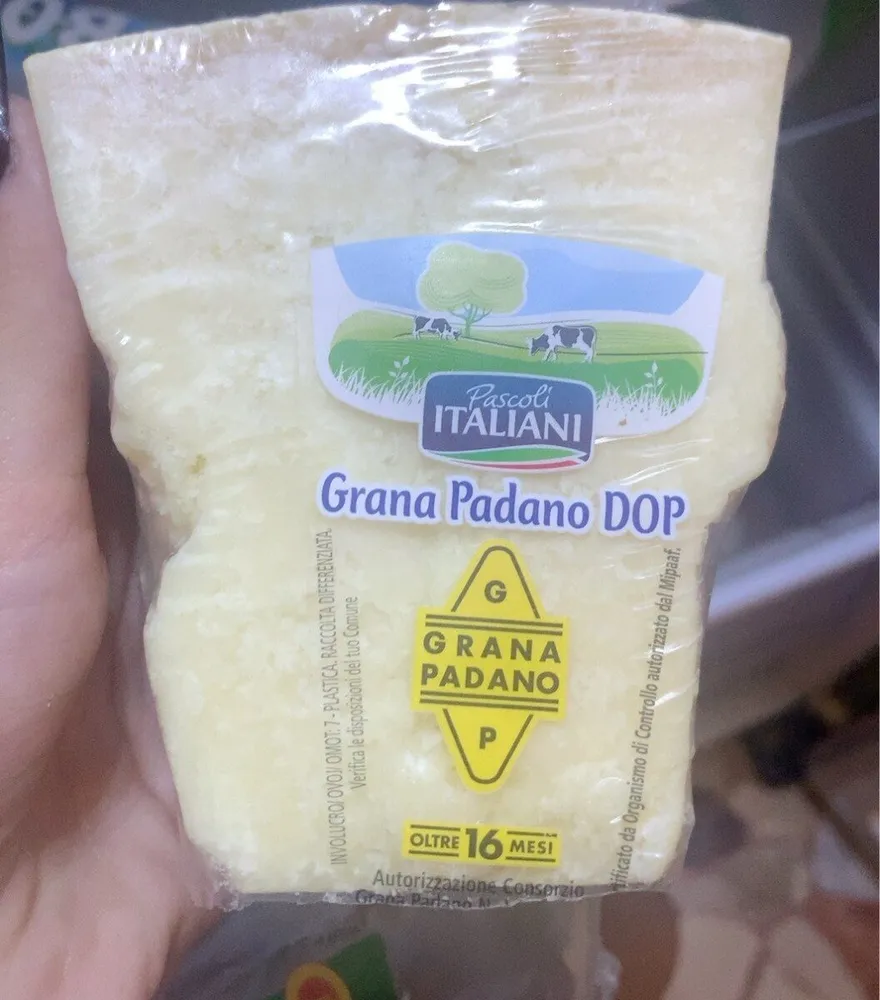 grana padano