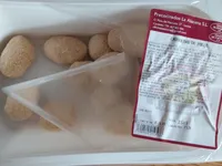 Croquetas de pollo