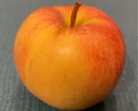 Pommes