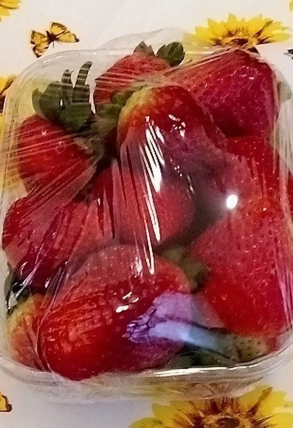 Fragole