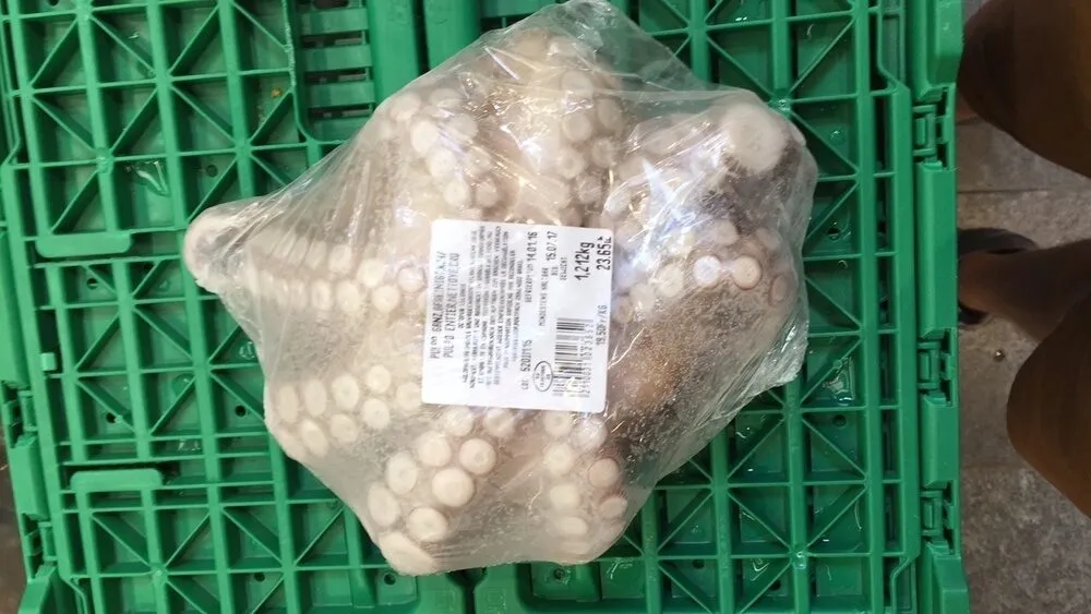 Pulpo entier nettoyé, cru