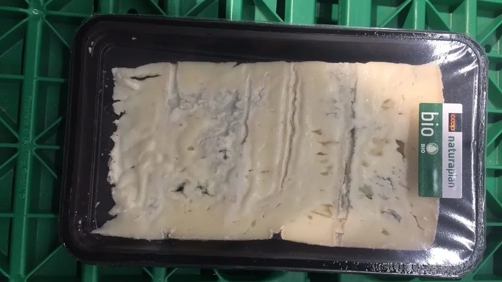 Fromage gras à pâte molle du lait biologique pasteurisé