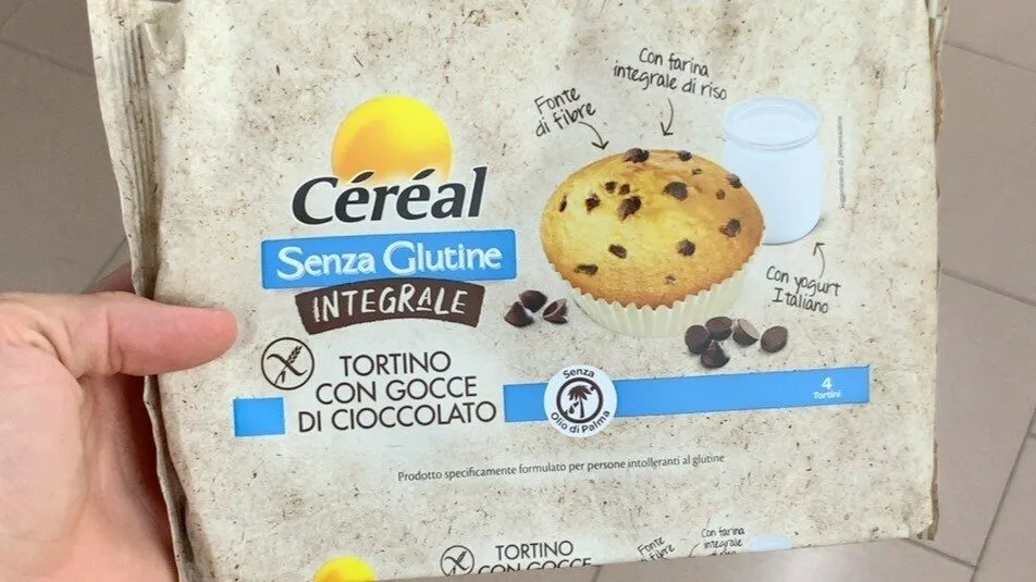 Tortino con gocce di cioccolato