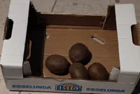 Kiwi biologici