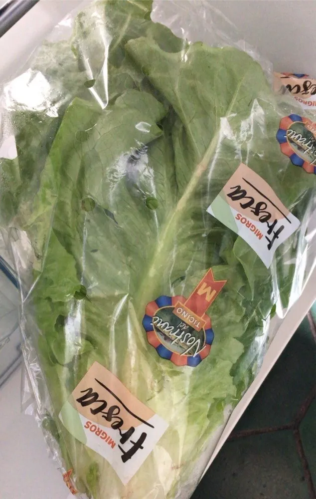 Salat Romania