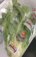 Salat Romania