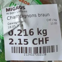 Champignons braun, frisch