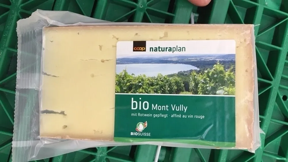 Mont Vully