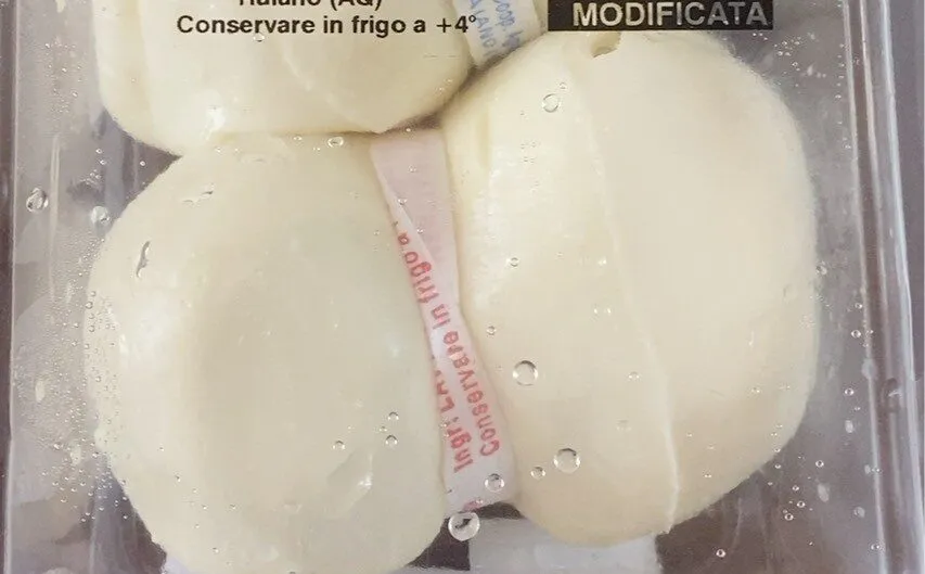 Mozzarella appassita