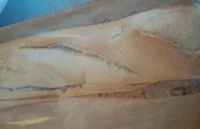 Baguette