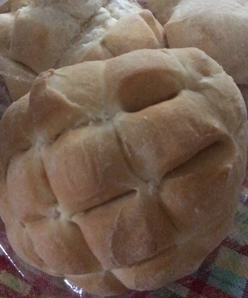Tartarughe