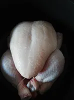 ganzes hühnchen