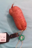 saucisson vaudois
