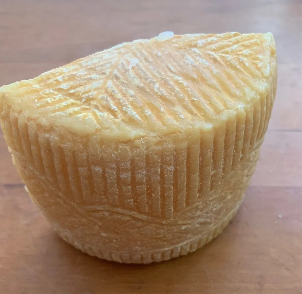 Petit Baskeriu Brebis