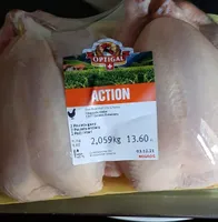 Pollo