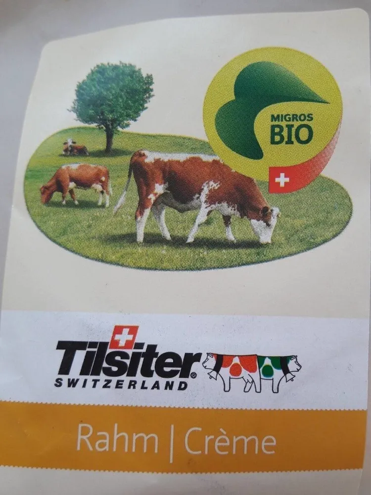 Tilsiter crème bio