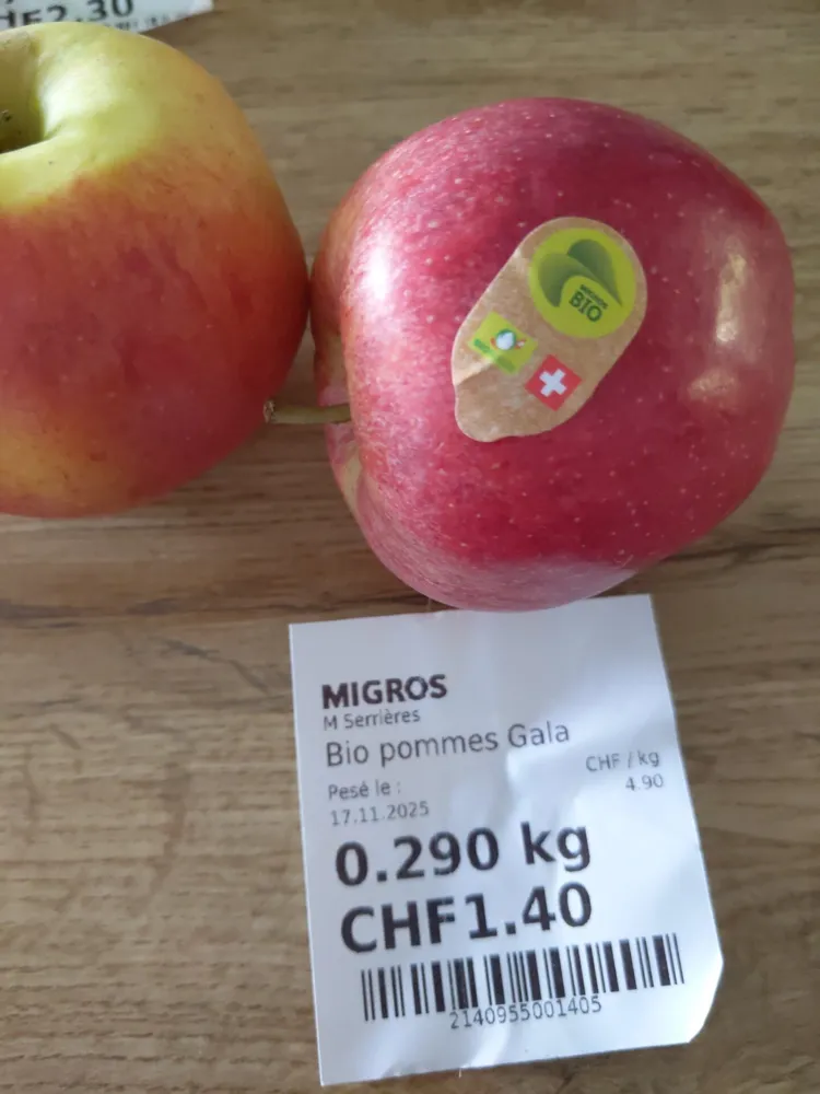 Pommes gala bio