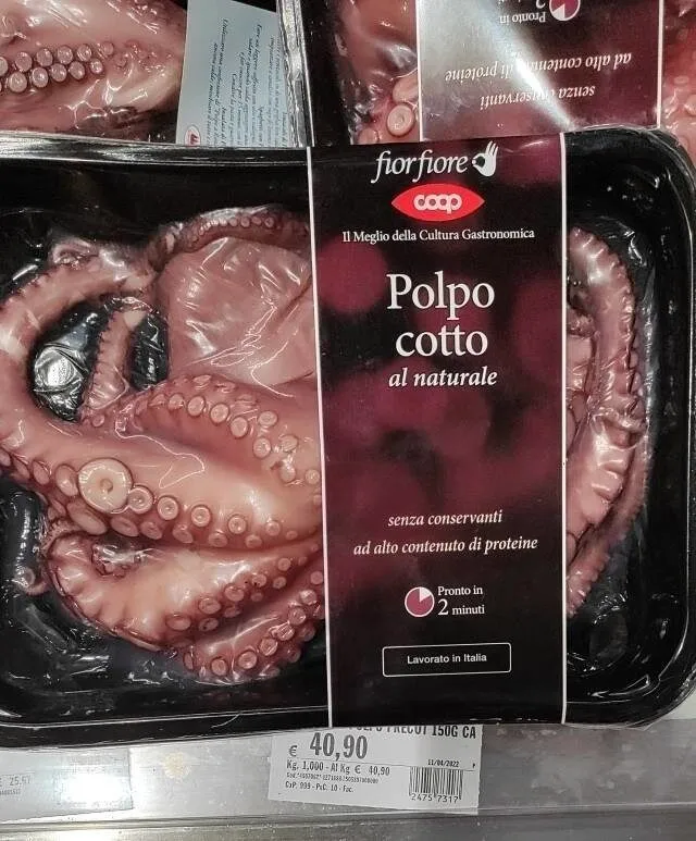 Polpo cotto