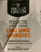 Filetes de pollo