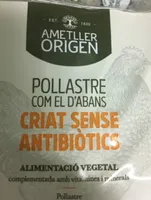 Pollo ametkier