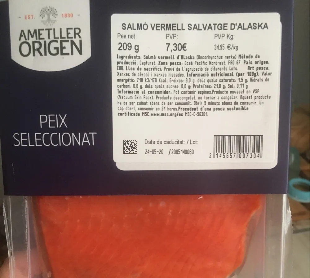 Salmon