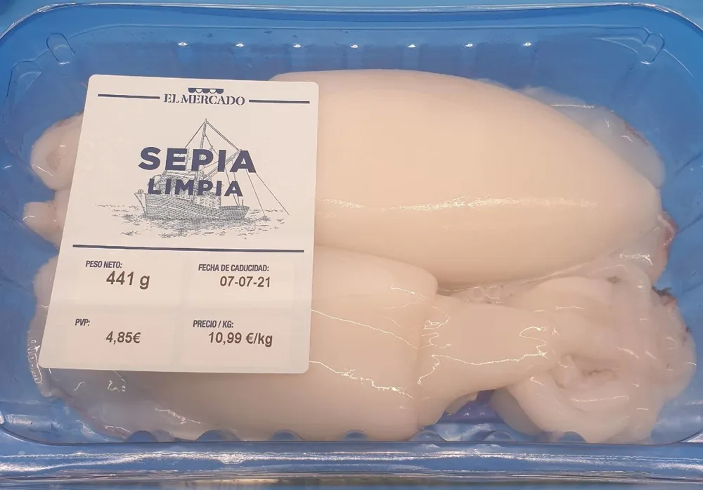 Sepia limpia