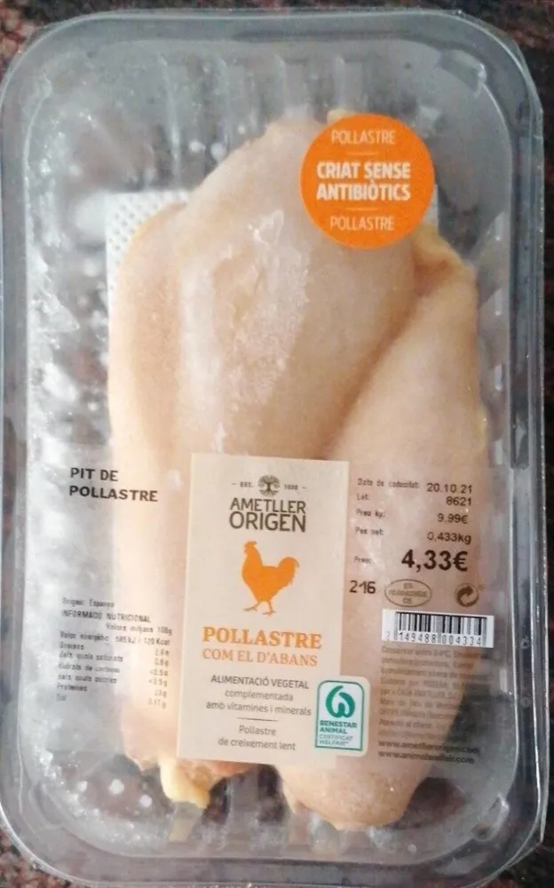 Pollastre
