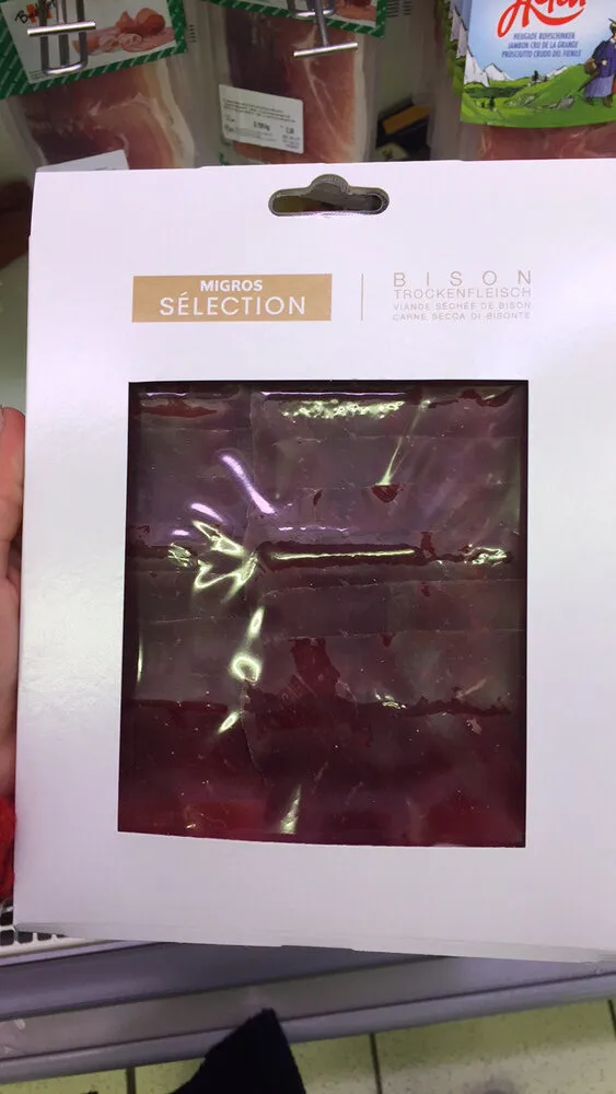 Bison