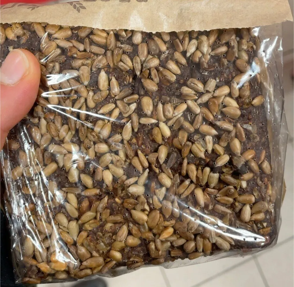 Vollkorn sonnebatze