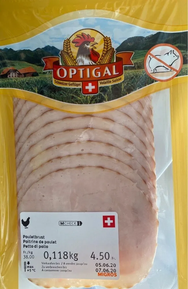 Pollo