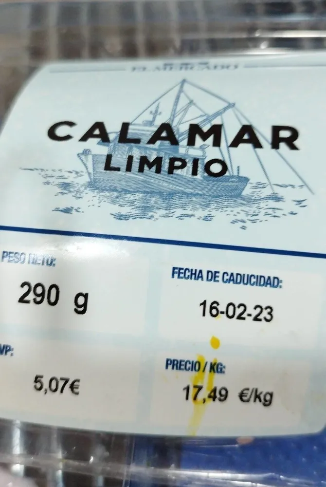 Calamar  fresco
