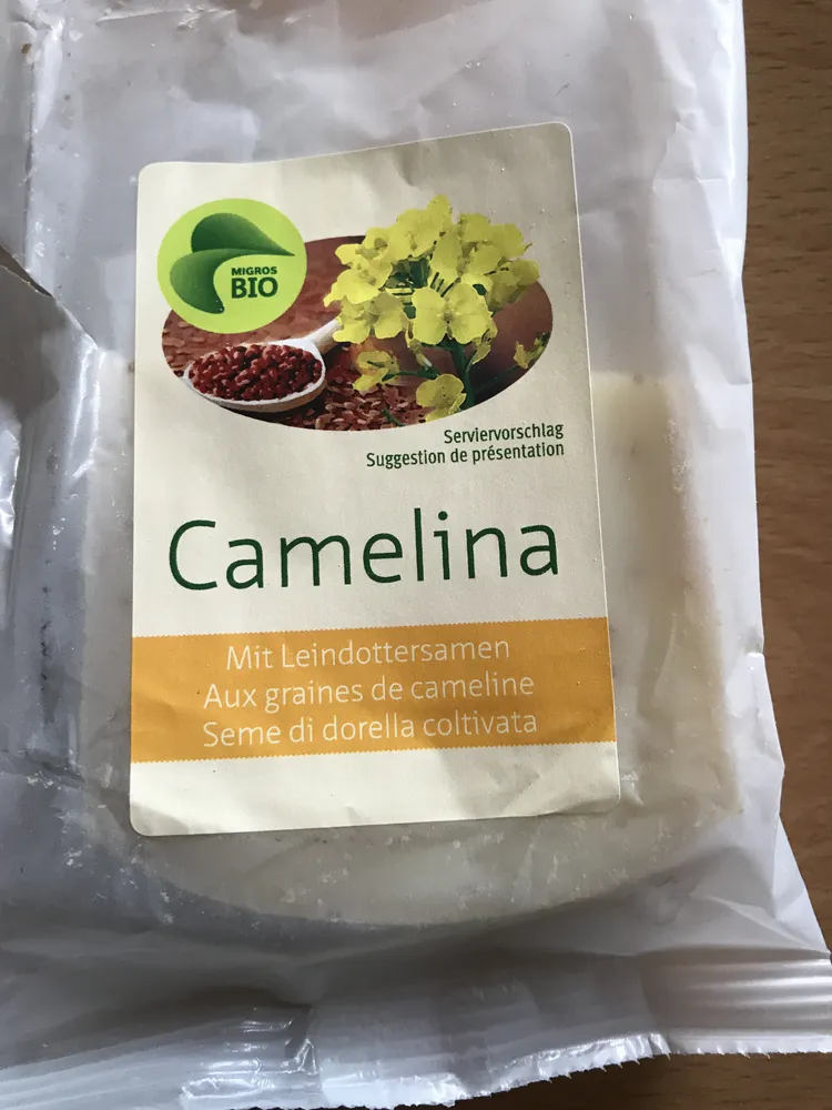 Camelina